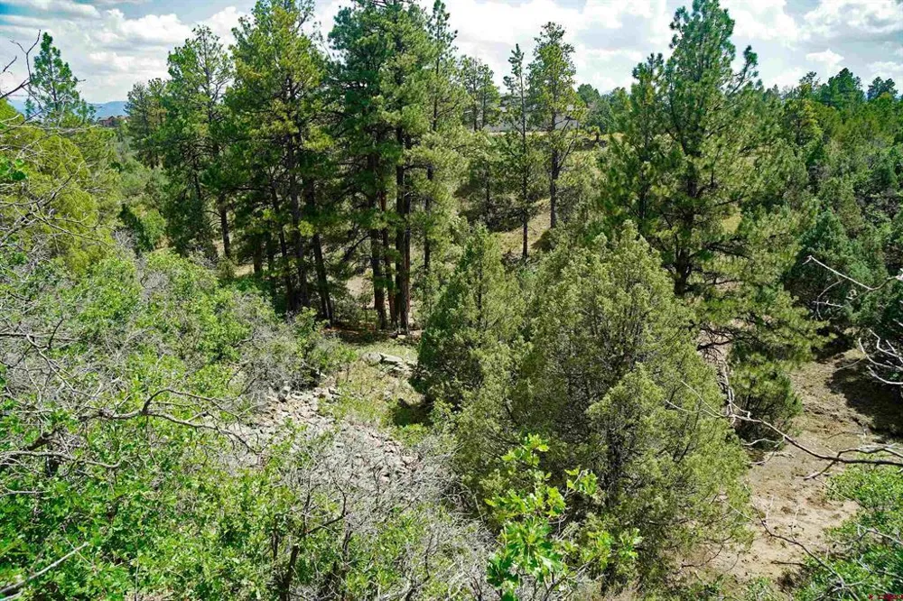Hummingbird Trail Ridgway, CO 81432