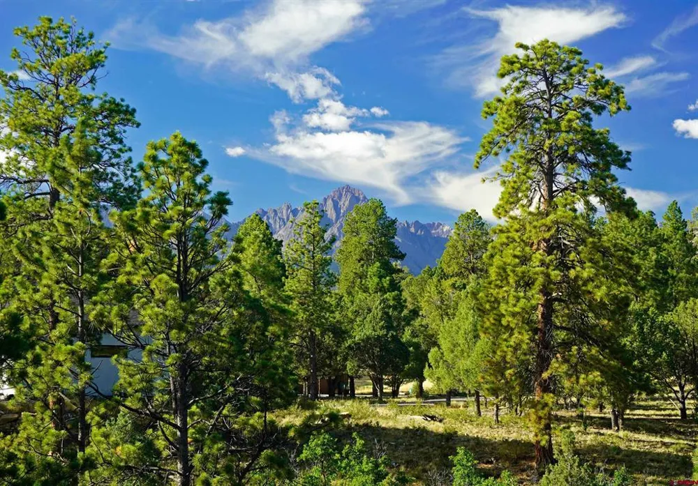 Hummingbird Trail Ridgway, CO 81432
