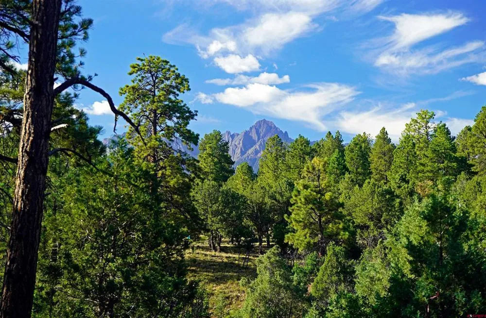 Hummingbird Trail Ridgway, CO 81432