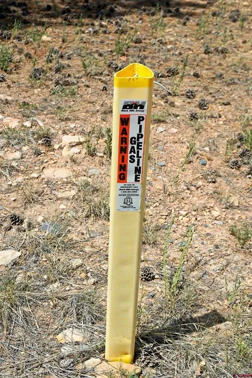 Hummingbird Trail Ridgway, CO 81432