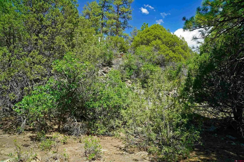 Hummingbird Trail Ridgway, CO 81432