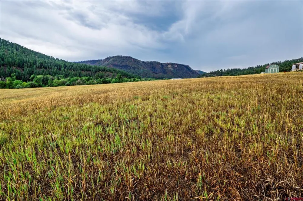 1822 County Rd 335 Pagosa Springs, CO 81147