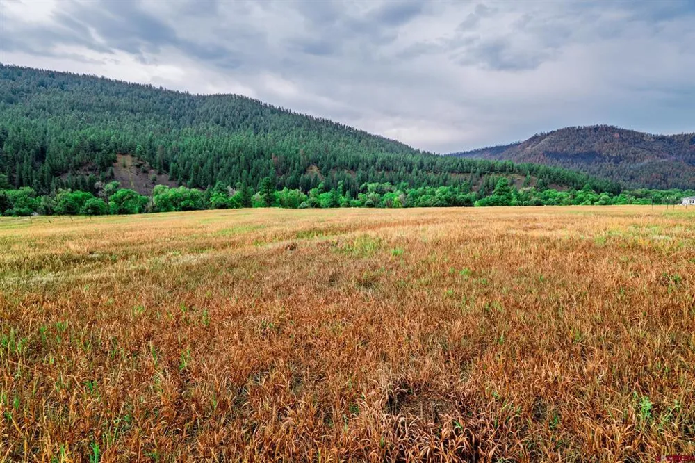1822 County Rd 335 Pagosa Springs, CO 81147