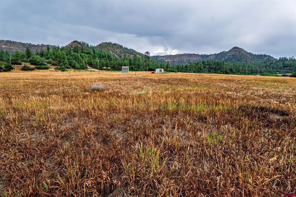 1822 County Rd 335 Pagosa Springs, CO 81147