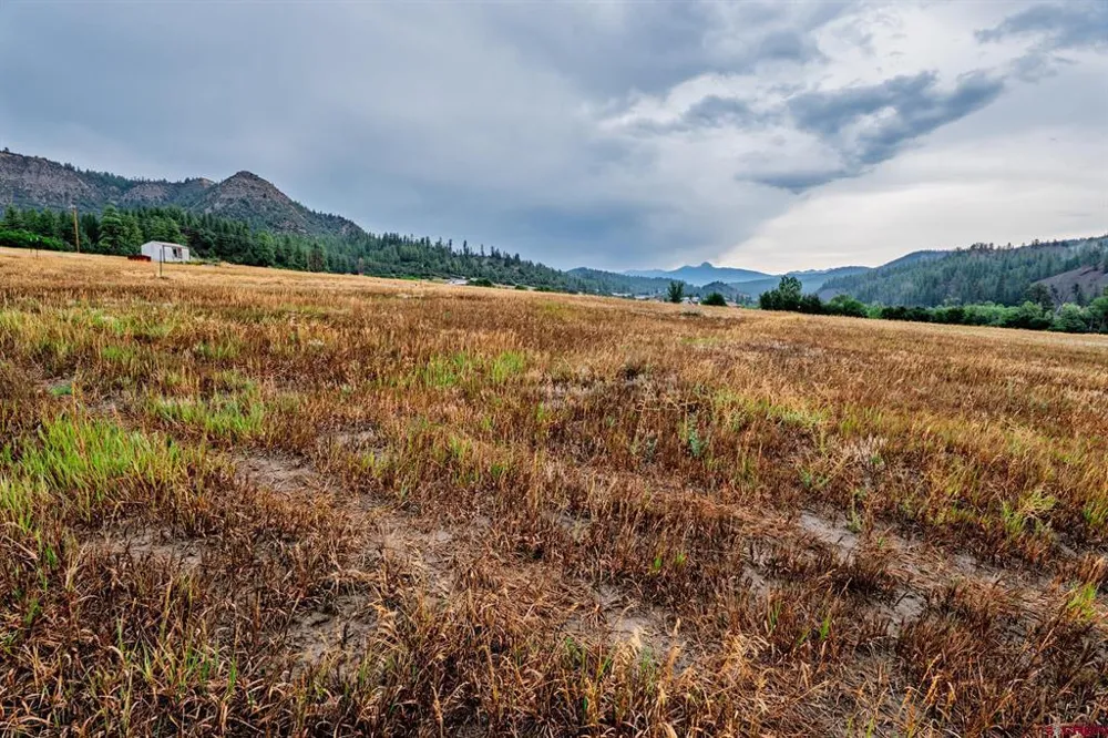 1822 County Rd 335 Pagosa Springs, CO 81147