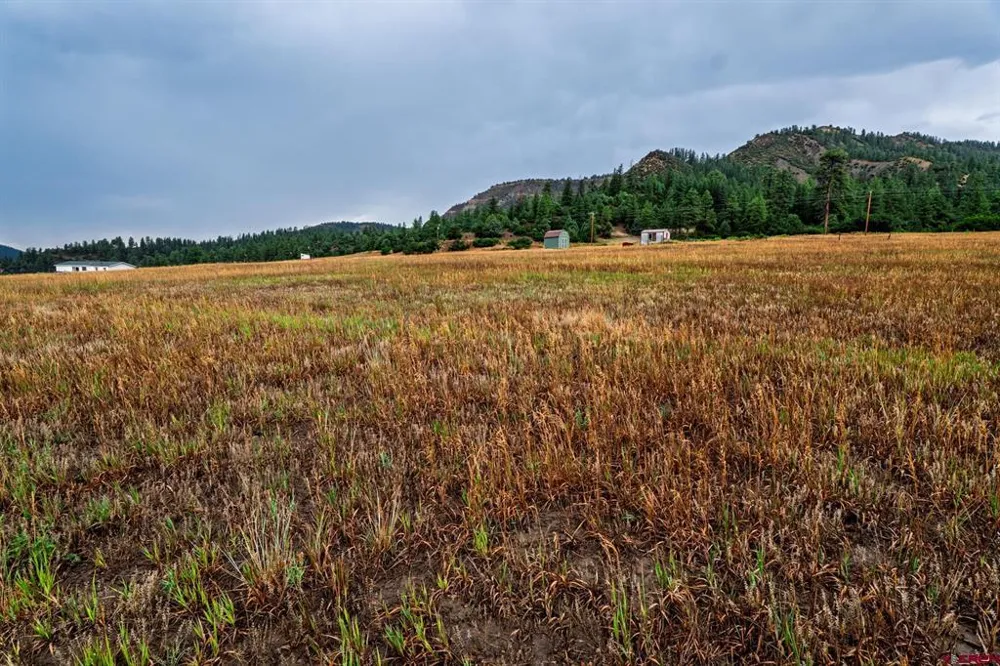 1822 County Rd 335 Pagosa Springs, CO 81147