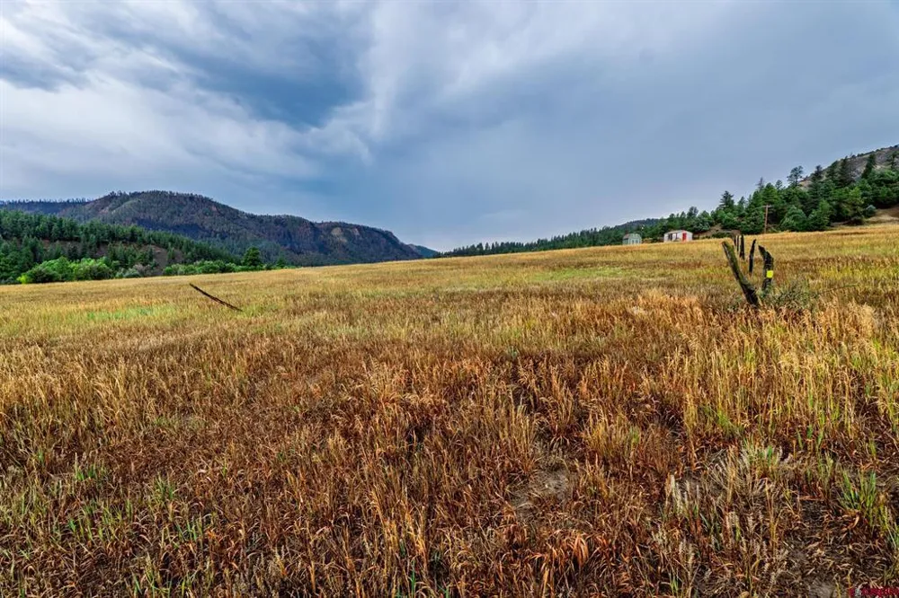 1822 County Rd 335 Pagosa Springs, CO 81147