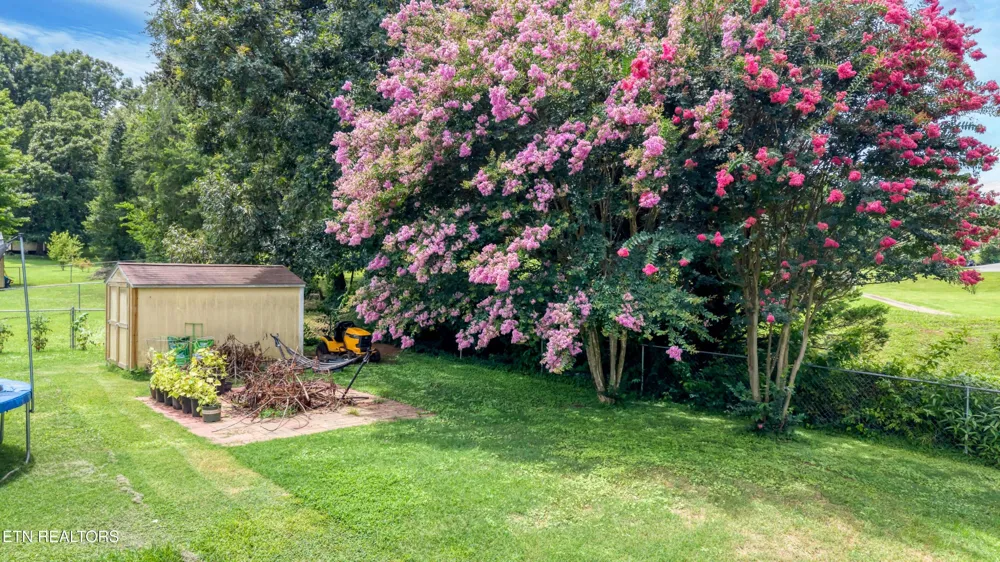 315 Arbor Drive Maryville, TN 37804