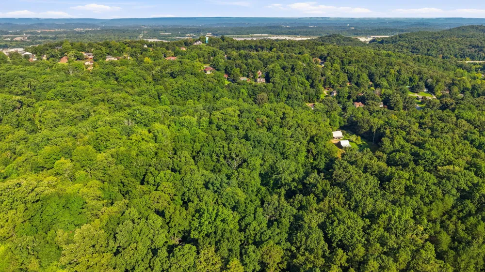 8231 Rolling Stone Lane Ooltewah, TN 37363