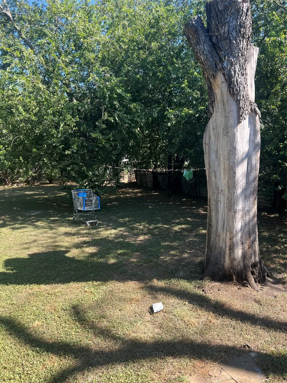 1304 avenue a Brownwood, TX 76801