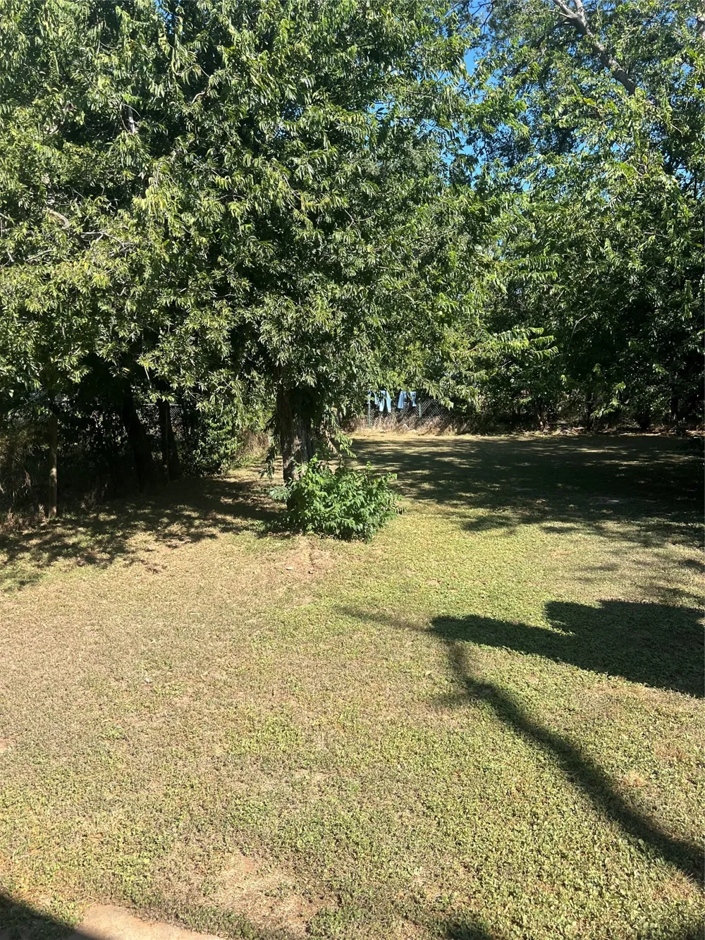 1304 avenue a Brownwood, TX 76801
