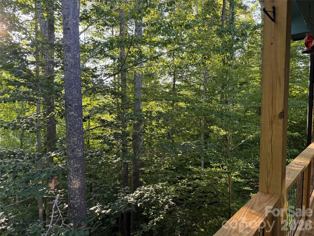 30 Sandys Home Place Mars Hill, NC 28754