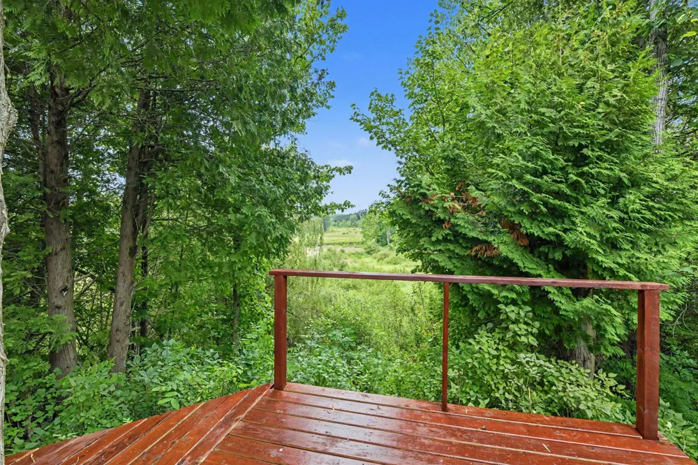 12599 Potter Road Bear Lake, MI 49614