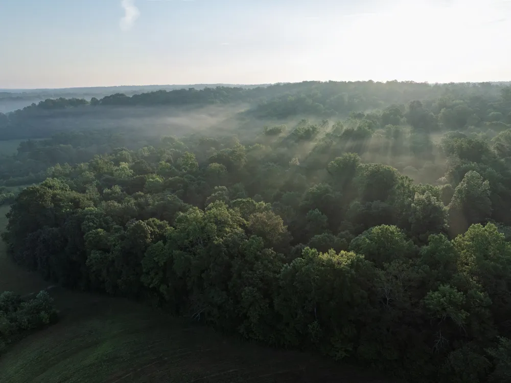 1125 Dawson Road White Bluff, TN 37187