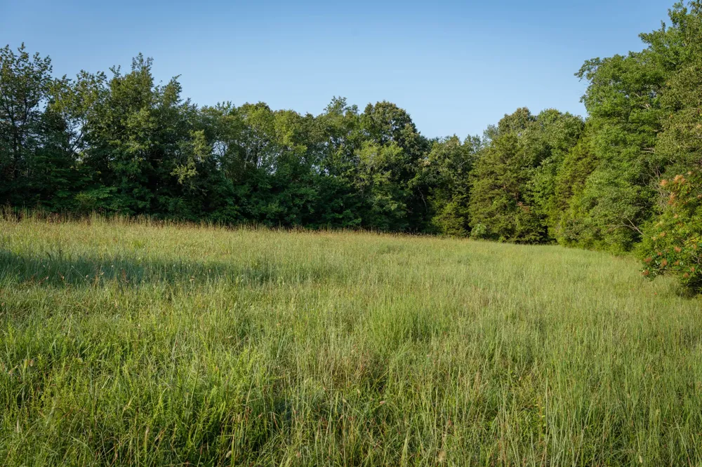 1125 Dawson Road White Bluff, TN 37187
