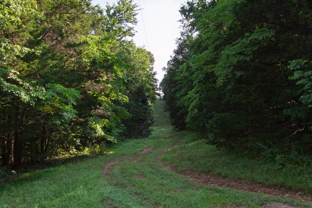 1125 Dawson Road White Bluff, TN 37187
