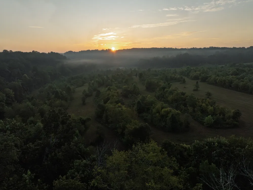 1125 Dawson Road White Bluff, TN 37187