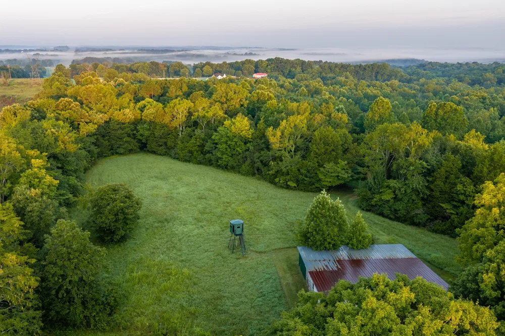 1125 Dawson Road White Bluff, TN 37187
