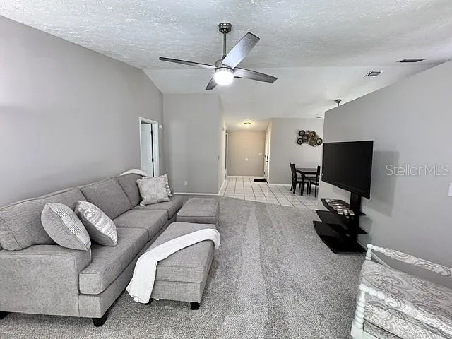 16004 GRASS LAKE DRIVE Tampa, FL 33618