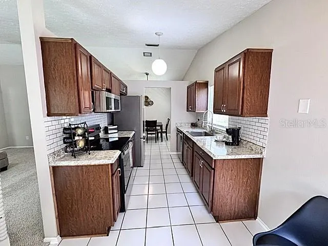 16004 GRASS LAKE DRIVE Tampa, FL 33618