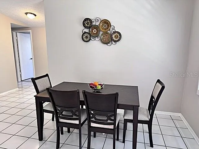 16004 GRASS LAKE DRIVE Tampa, FL 33618