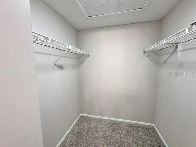 16004 GRASS LAKE DRIVE Tampa, FL 33618