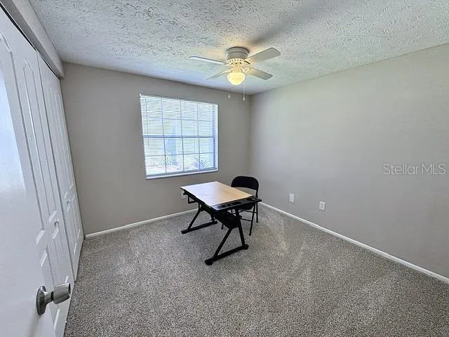 16004 GRASS LAKE DRIVE Tampa, FL 33618