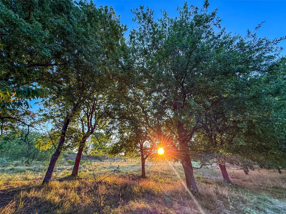 HAZELWOOD Sherman, TX 75092