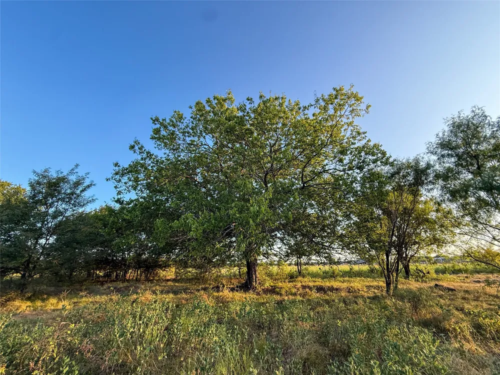 HAZELWOOD Sherman, TX 75092