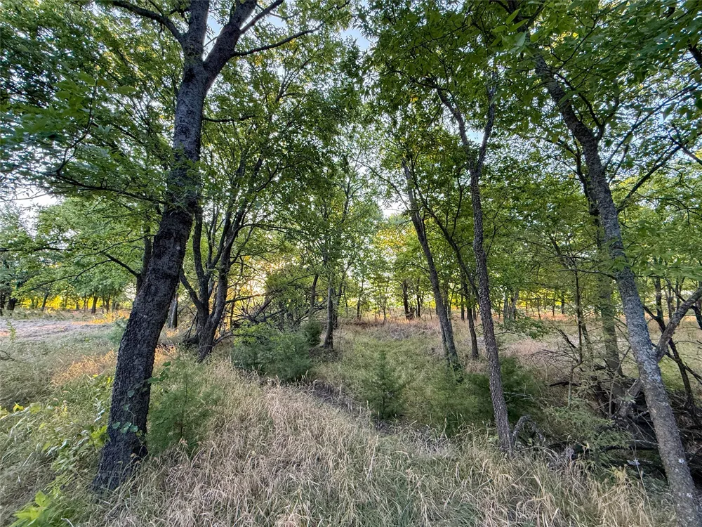 HAZELWOOD Sherman, TX 75092