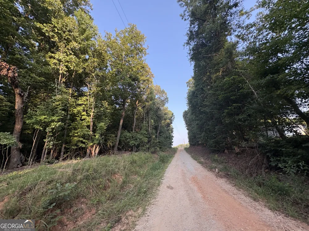 6 bunch RD Tignall, GA 30668