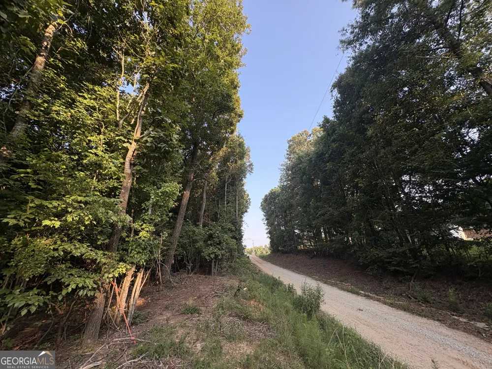 6 bunch RD Tignall, GA 30668