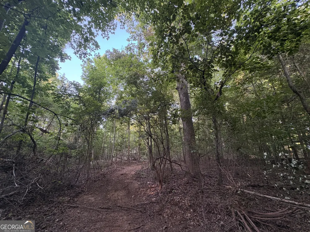 6 bunch RD Tignall, GA 30668