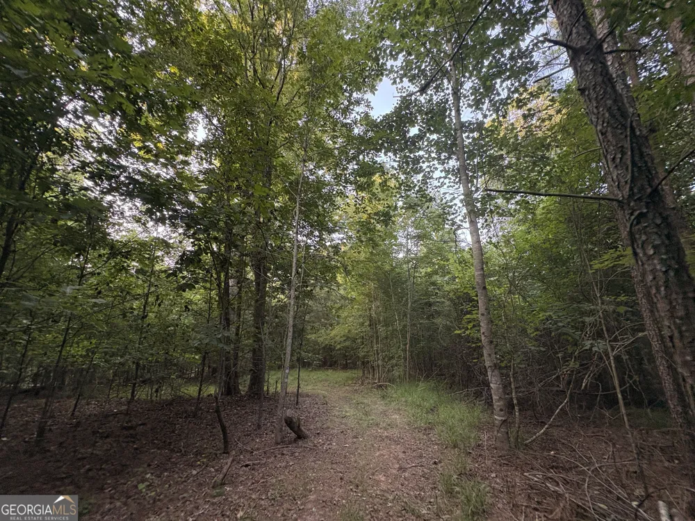 6 bunch RD Tignall, GA 30668