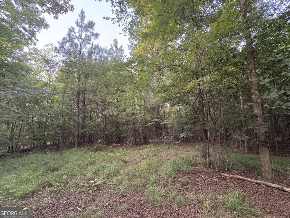 6 bunch RD Tignall, GA 30668