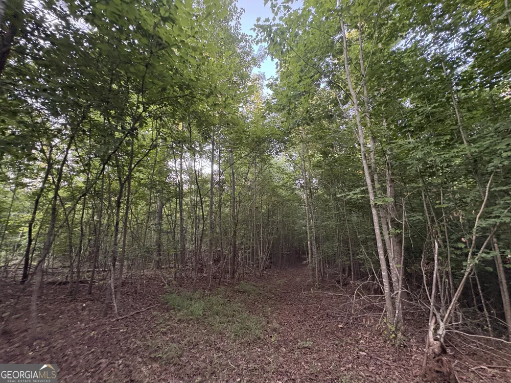 6 bunch RD Tignall, GA 30668