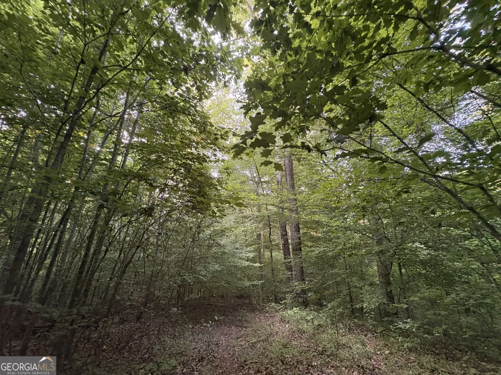 6 bunch RD Tignall, GA 30668