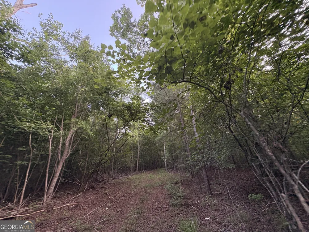 6 bunch RD Tignall, GA 30668