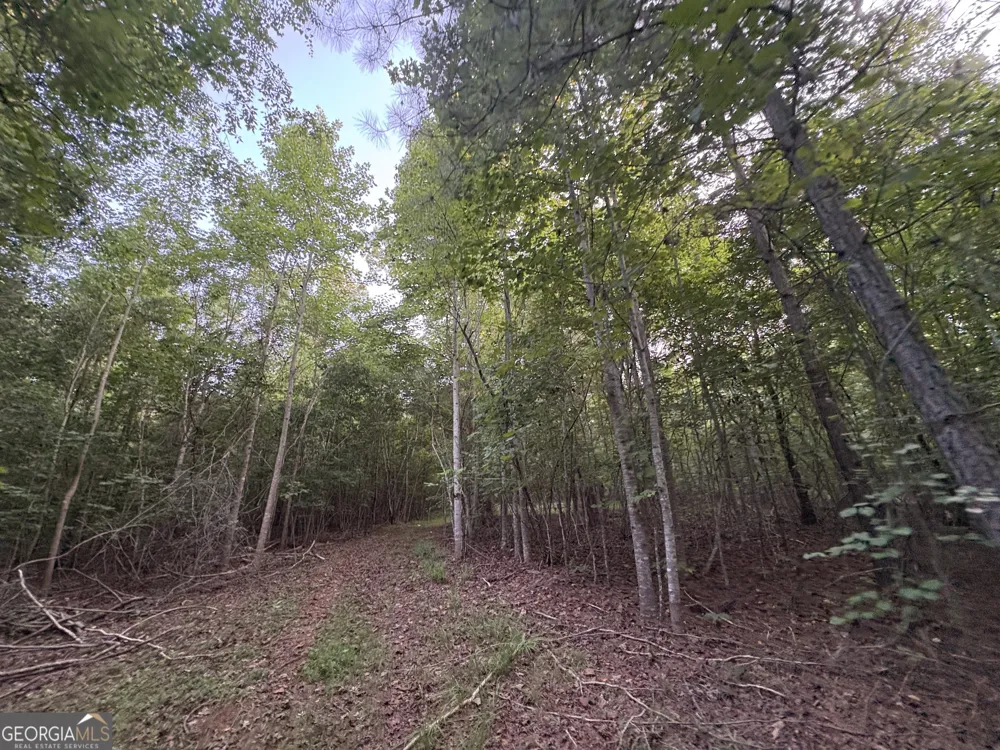 6 bunch RD Tignall, GA 30668