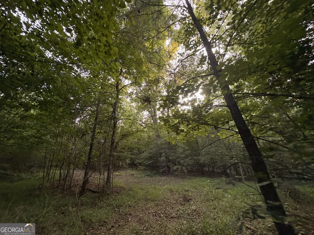 6 bunch RD Tignall, GA 30668