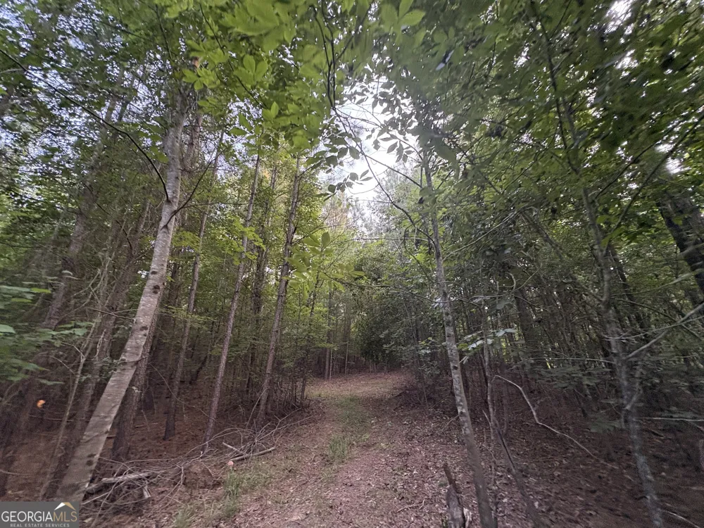 6 bunch RD Tignall, GA 30668