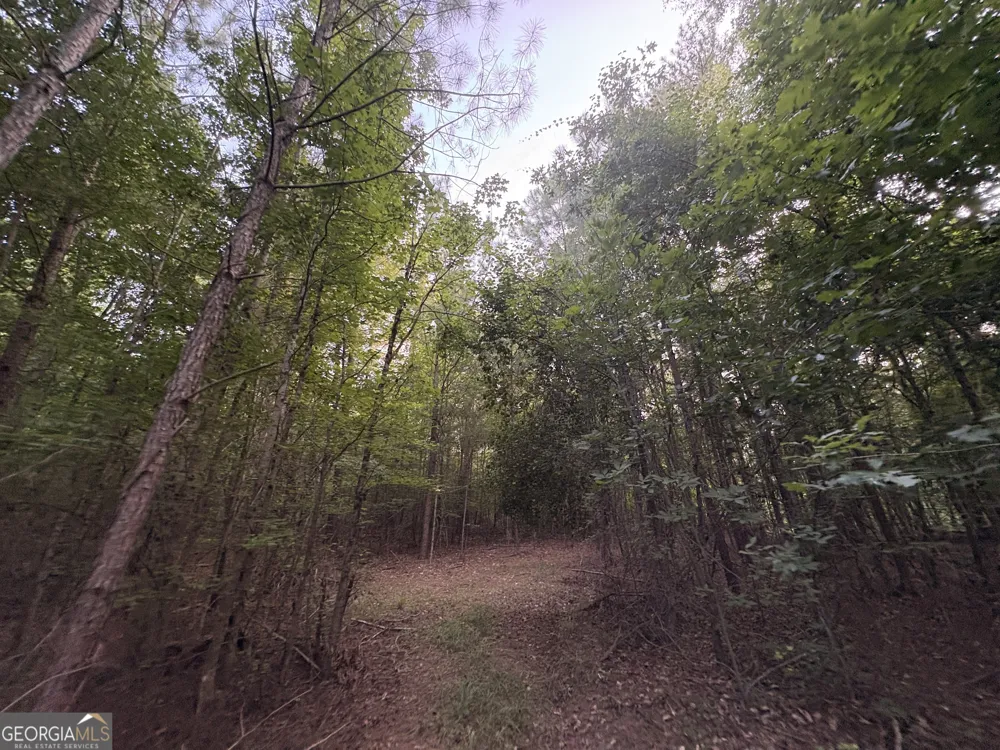 6 bunch RD Tignall, GA 30668