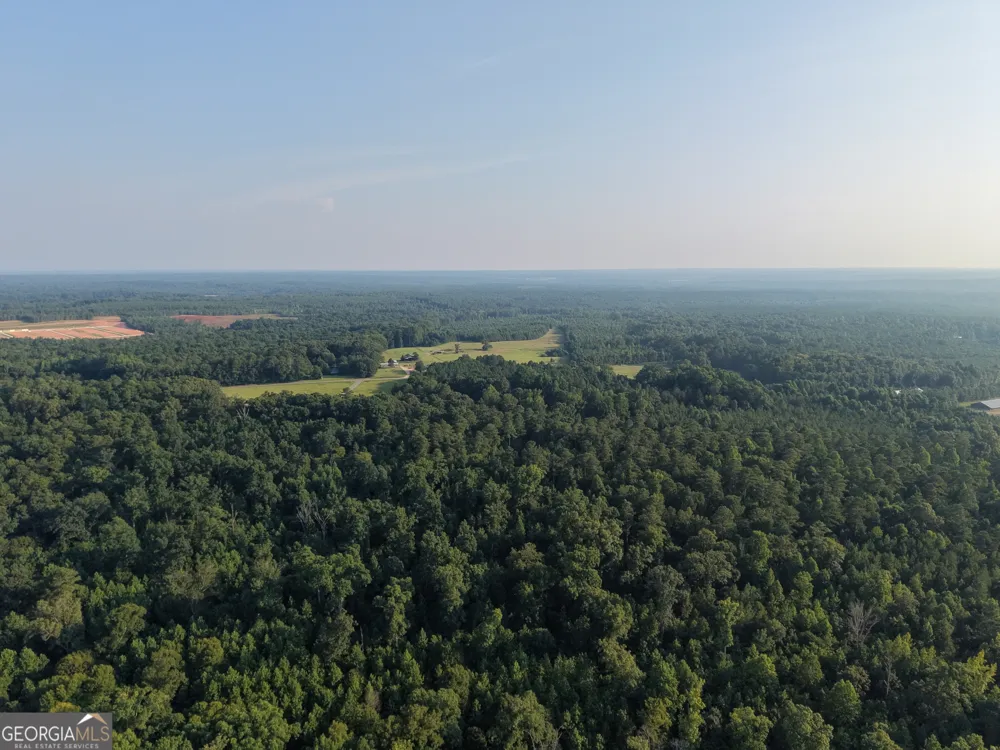 6 bunch RD Tignall, GA 30668