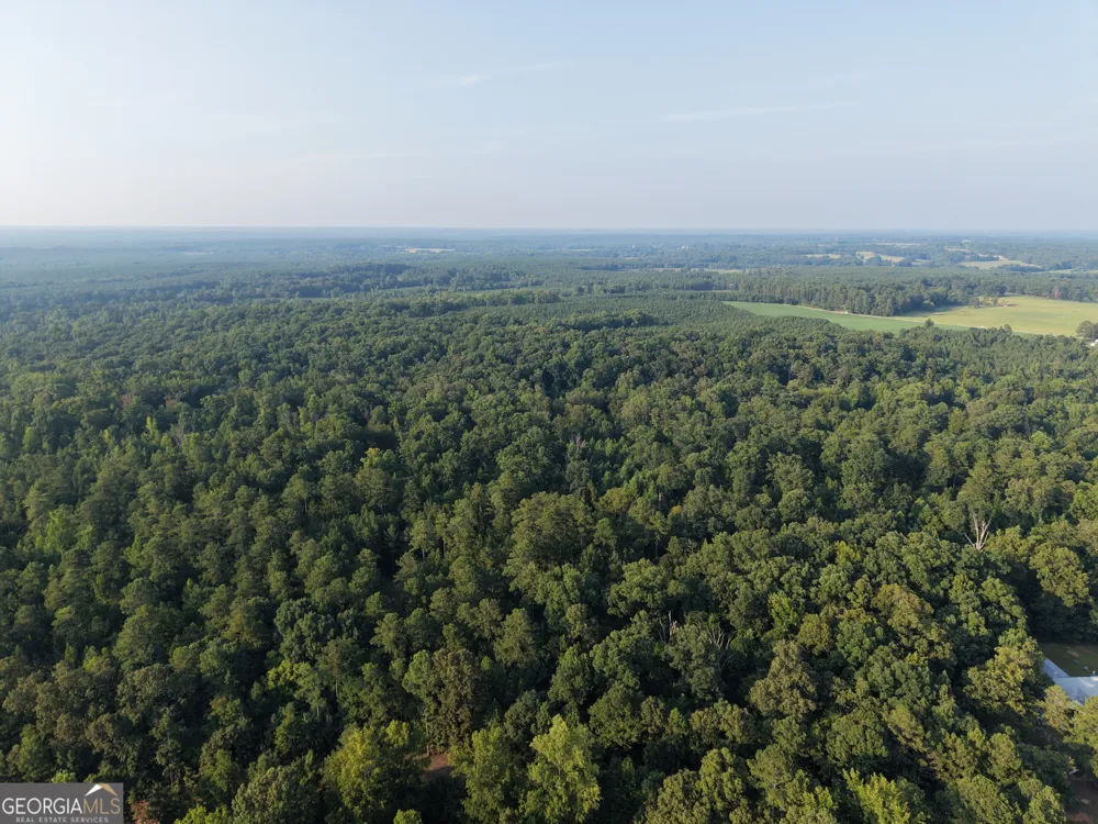 6 bunch RD Tignall, GA 30668
