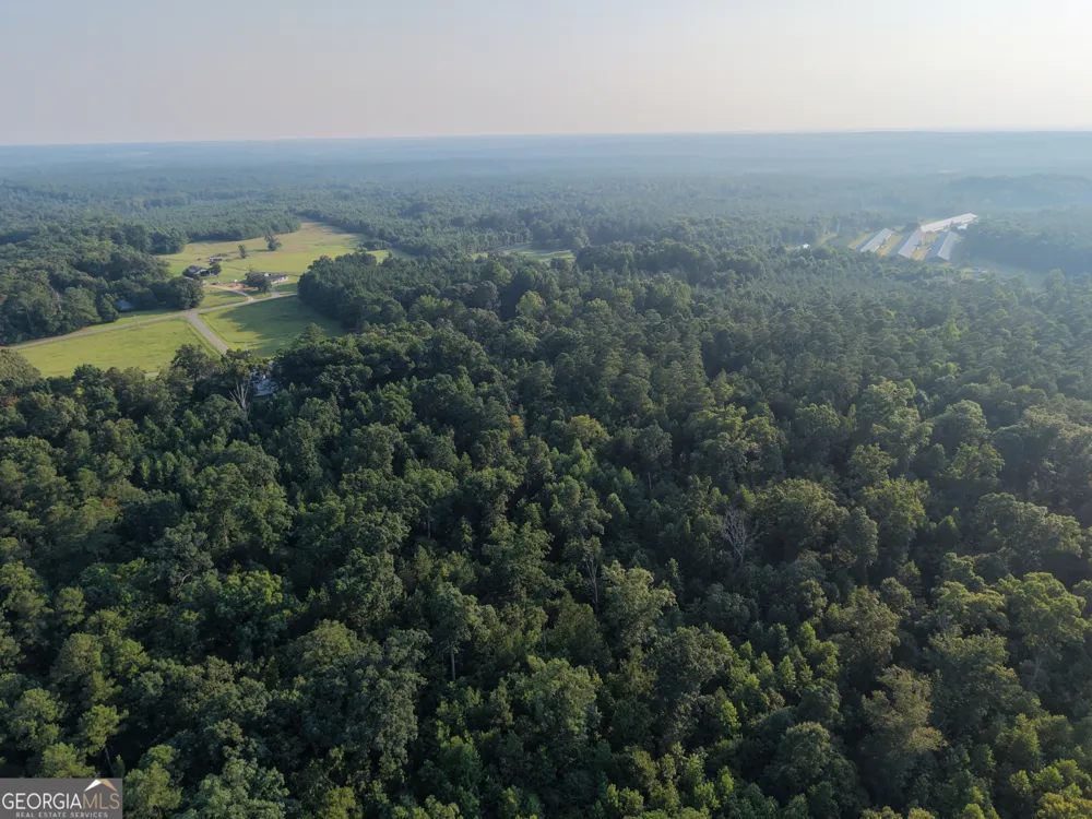 6 bunch RD Tignall, GA 30668