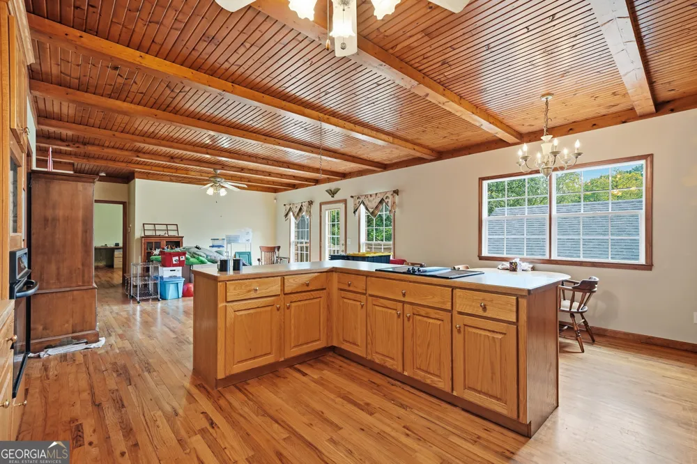 25 Loon Lane Ball Ground, GA 30107