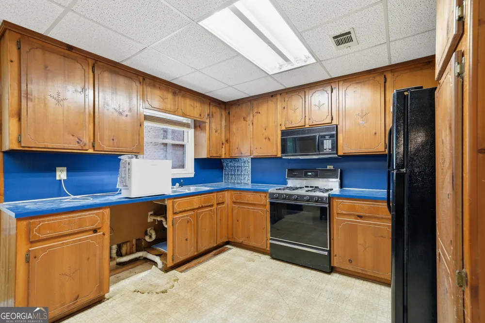 25 Loon Lane Ball Ground, GA 30107