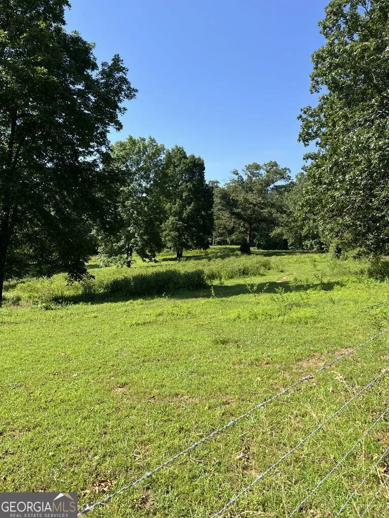 25 Loon Lane Ball Ground, GA 30107