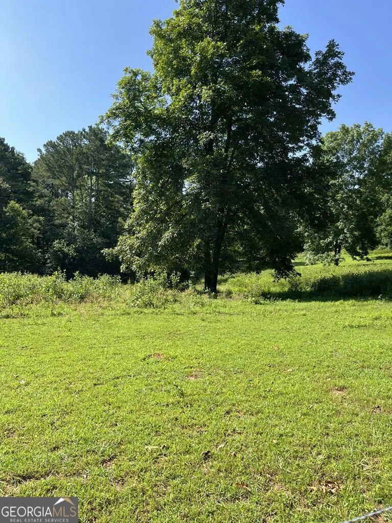 25 Loon Lane Ball Ground, GA 30107