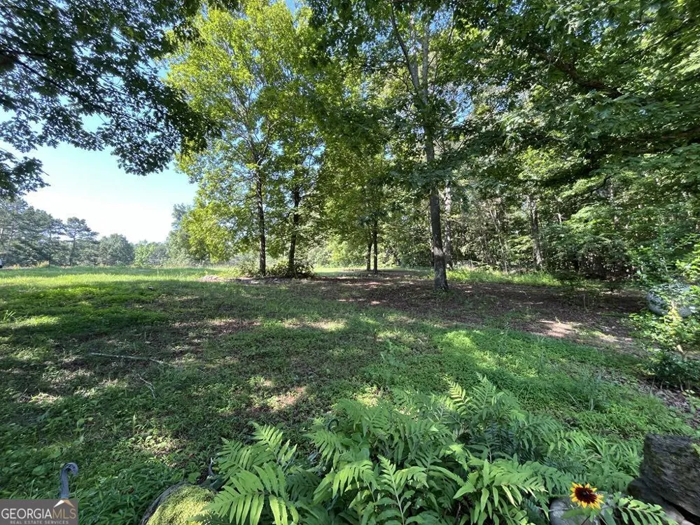 25 Loon Lane Ball Ground, GA 30107